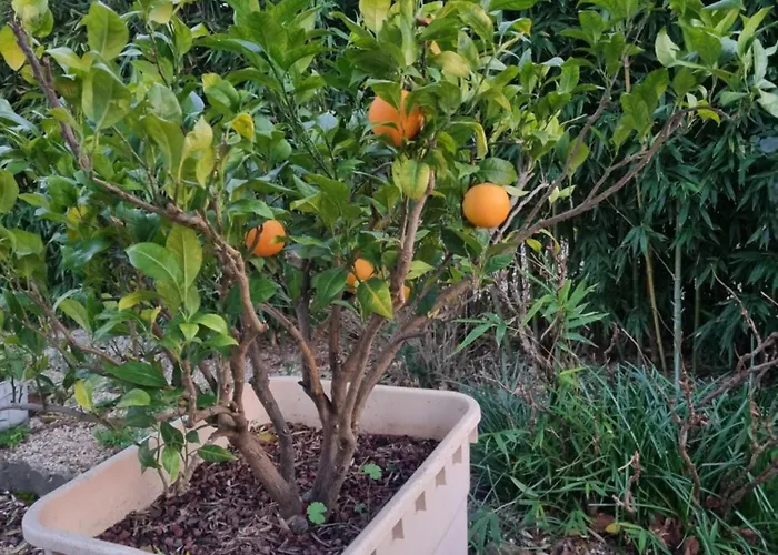 L'oustalet Classé 2 étoiles