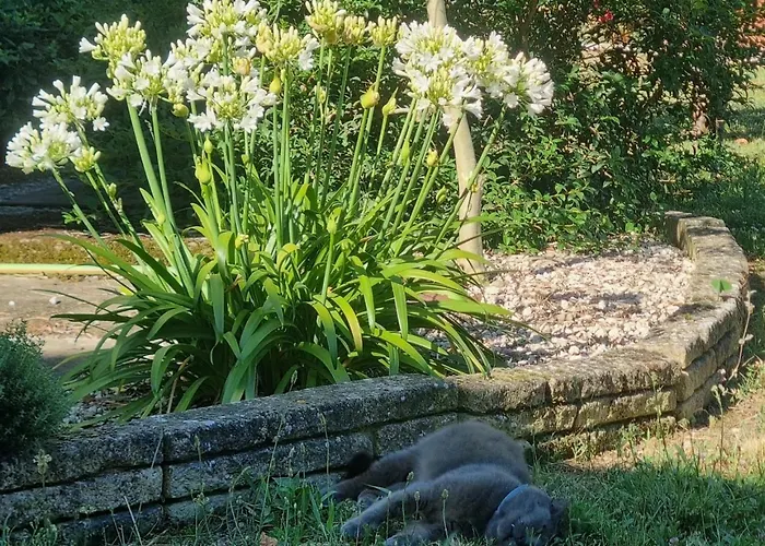 L'oustalet Classé 2 étoiles Carbonne