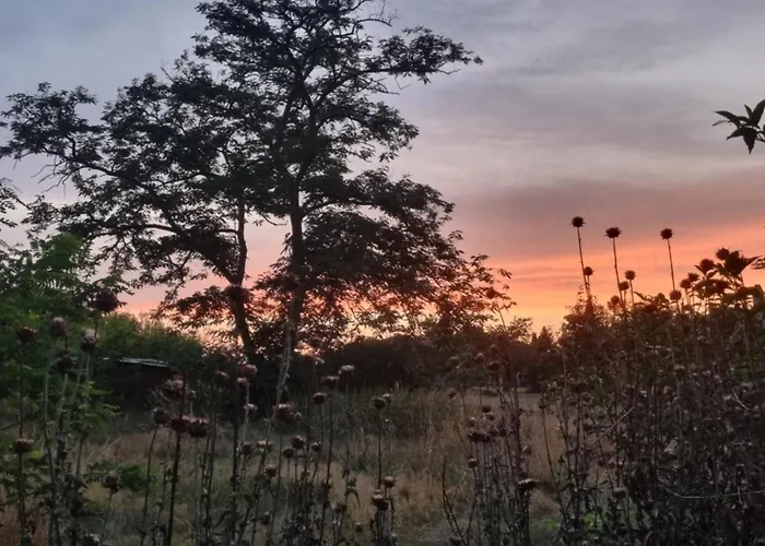 Hébergement de vacances L'oustalet Classé 2 étoiles