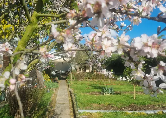 L'oustalet Classé 2 étoiles * Carbonne