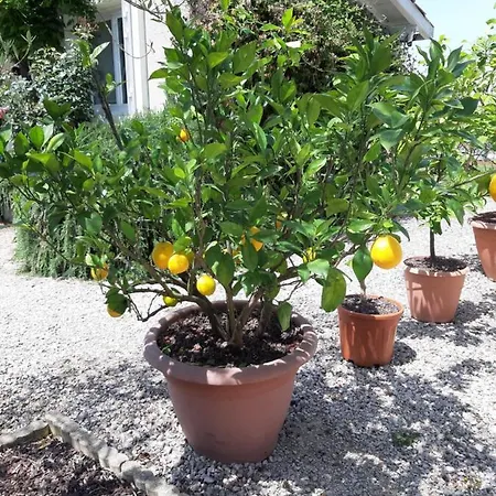 L'oustalet Classe 2 Etoiles Dom wakacyjny