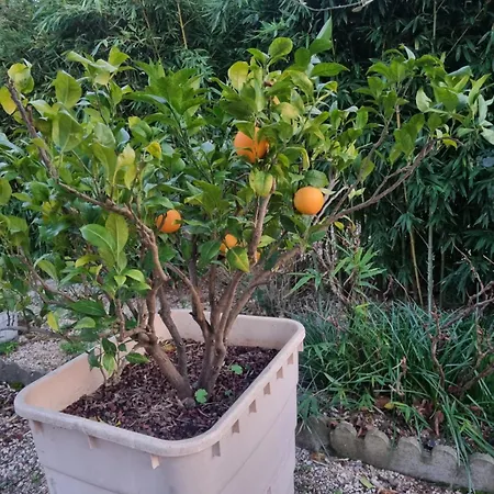 L'oustalet Classe 2 Etoiles