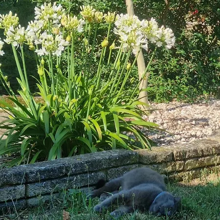 L'oustalet Classe 2 Etoiles Carbonne