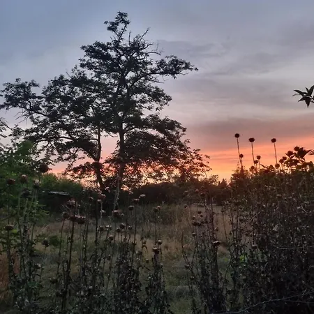 Ferienhaus L'oustalet Classe 2 Etoiles