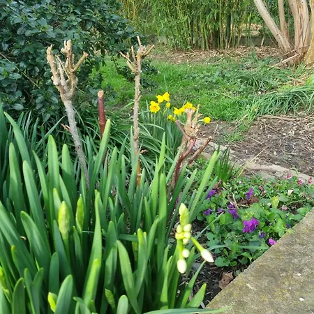 L'oustalet Classe 2 Etoiles * Carbonne