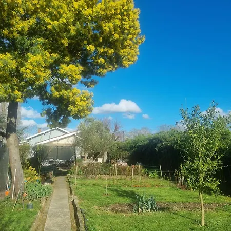 Prázdninový dům L'oustalet Classe 2 Etoiles Carbonne