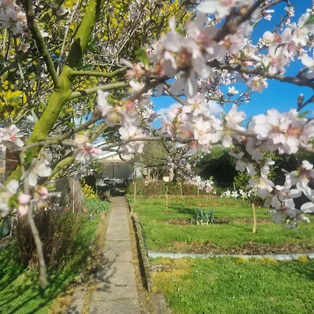 L'oustalet Classe 2 Etoiles * Carbonne