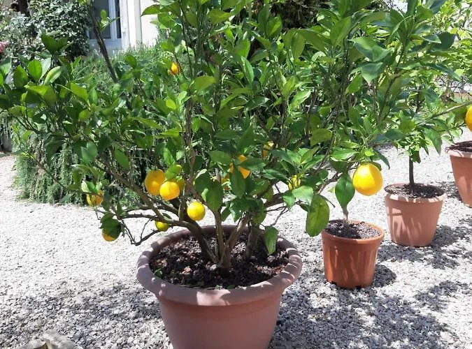 L'oustalet Classe 2 Etoiles Prázdninový dům