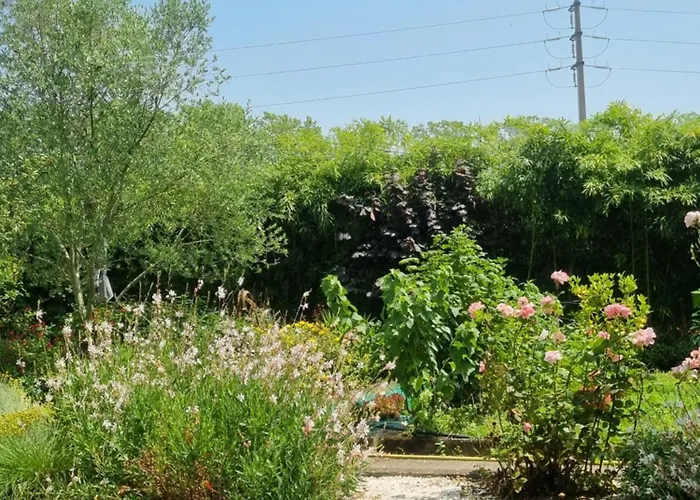 Vakantiehuis L'oustalet Classe 2 Etoiles *