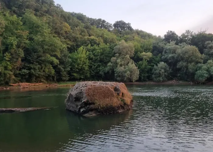 L'oustalet Classe 2 Etoiles * Carbonne