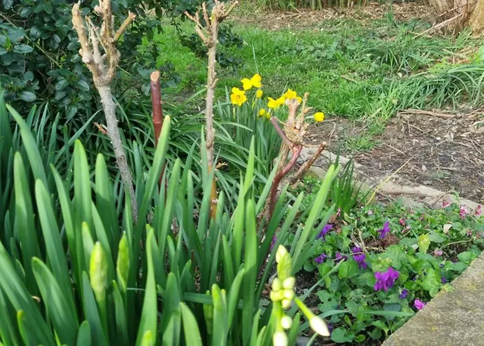 L'oustalet Classe 2 Etoiles * Carbonne